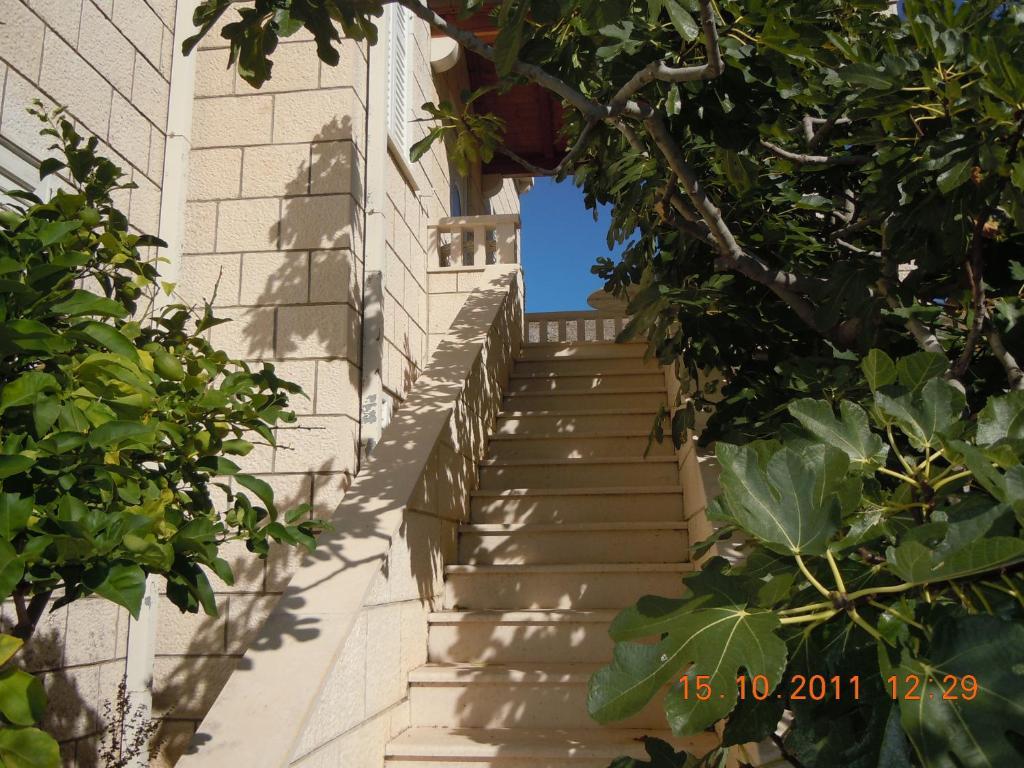 Central Apartment Дубровник Номер фото