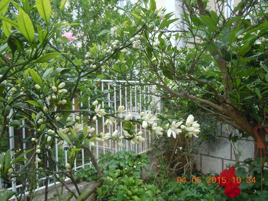 Central Apartment Дубровник Номер фото